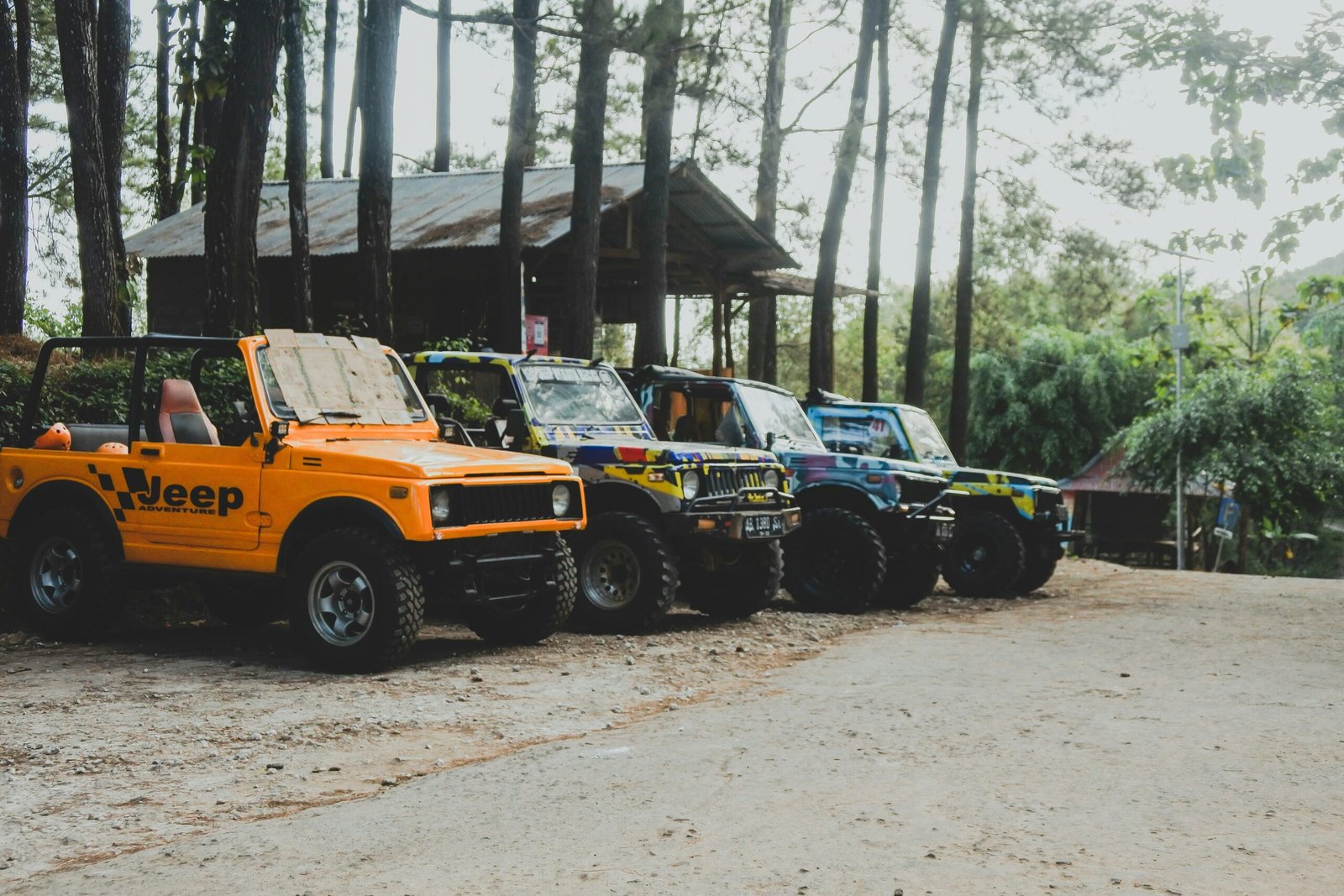 yellow and black jeep wrangler parked near trees during daytime