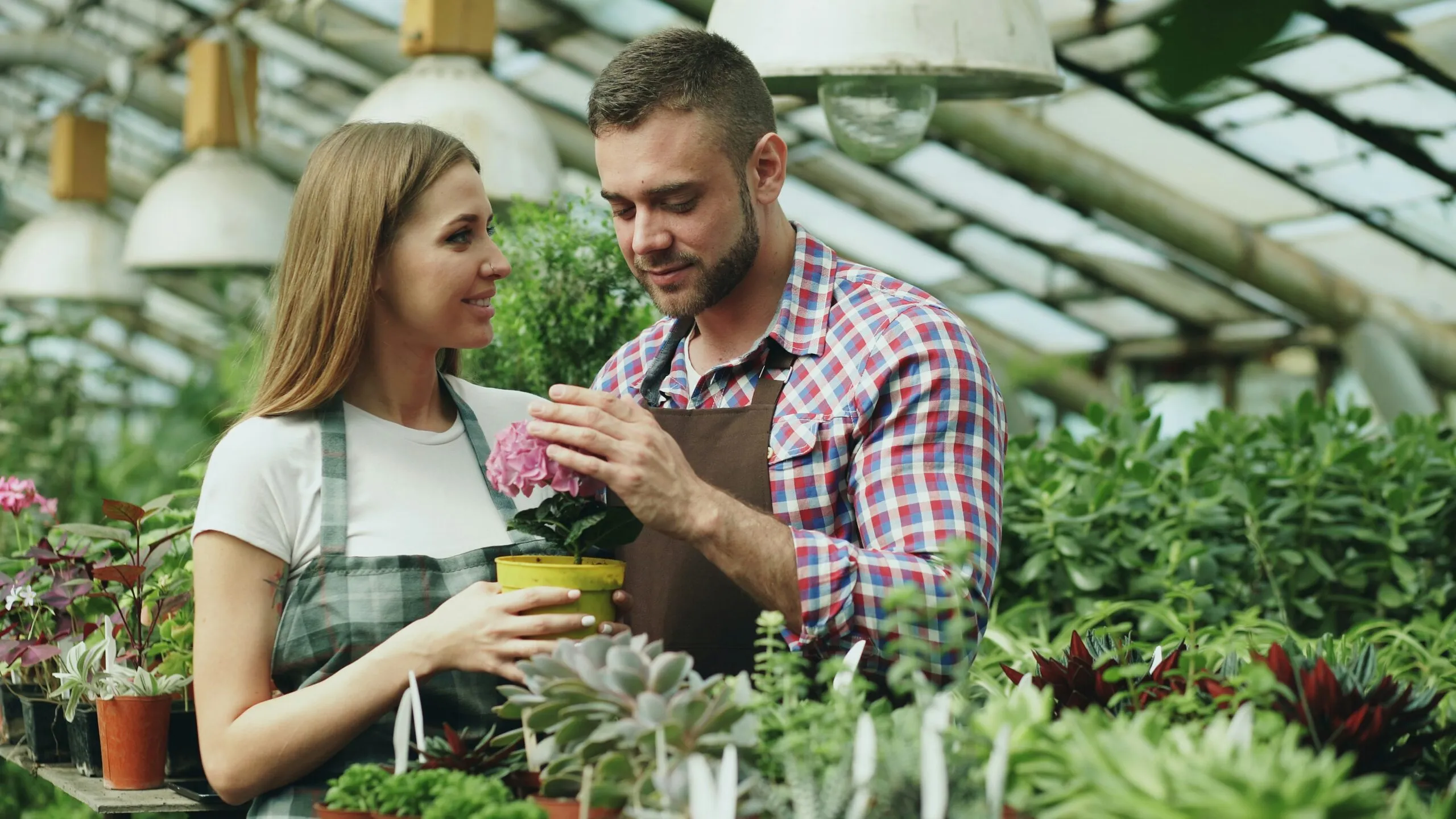 Couple tending to plants in a greenhouse