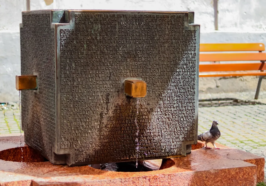 a bird is standing next to a water fountain
