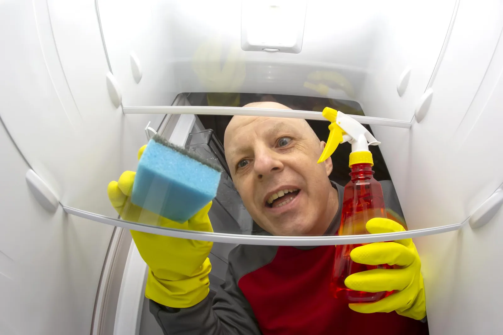 Cleaning and washing the inside of the refrigerator with a detergent spray and sponge. professional service for disinfection of kitchen equipment for food preservation