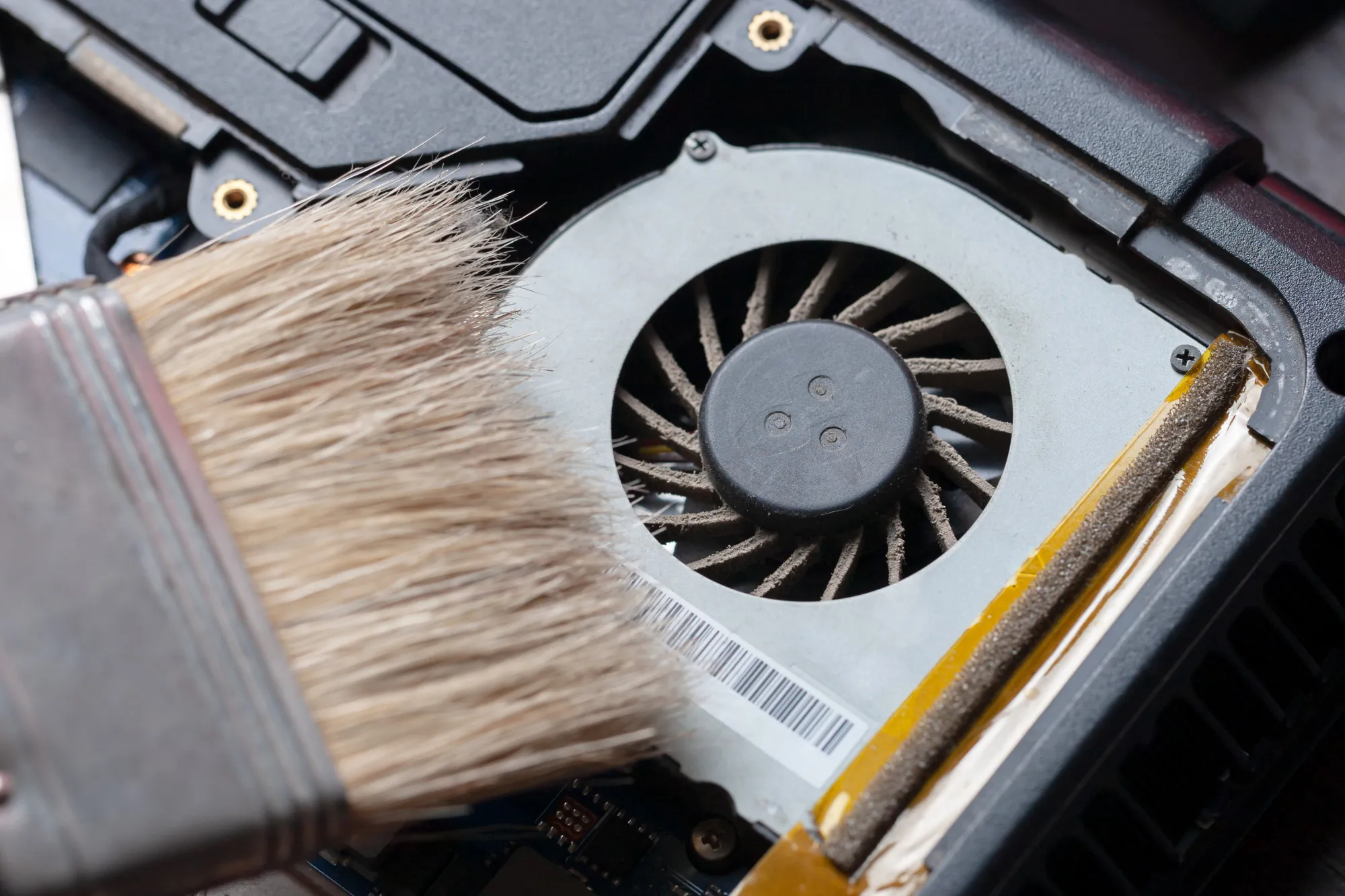 cpu cooler system with dust and web. electronics maintenance at service. 