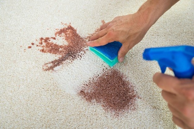 Cropped image of man cleaning stain on carpet with sponge