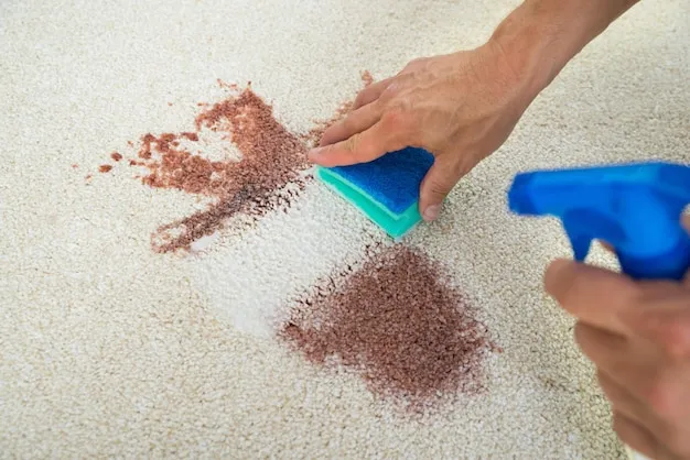 Cropped image of man cleaning stain on carpet with sponge