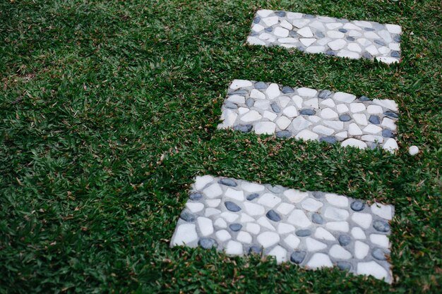 High angle view of grassy field