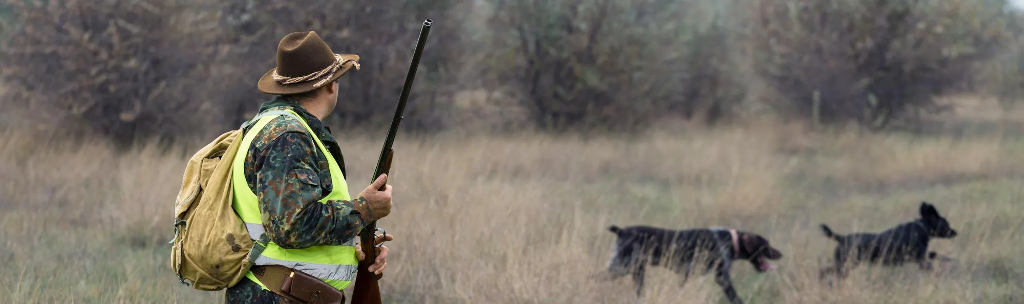 Hunting period autumn season open A hunter with a gun in his hands in hunting clothes in the autumn forest in search of a trophy A man stands with weapons and hunting dogs tracking down the game