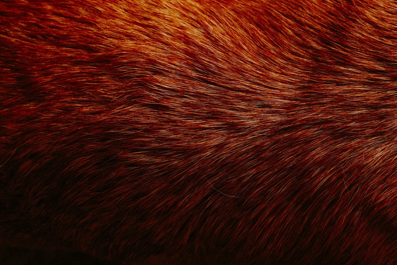 a close up of a brown and black animal's fur