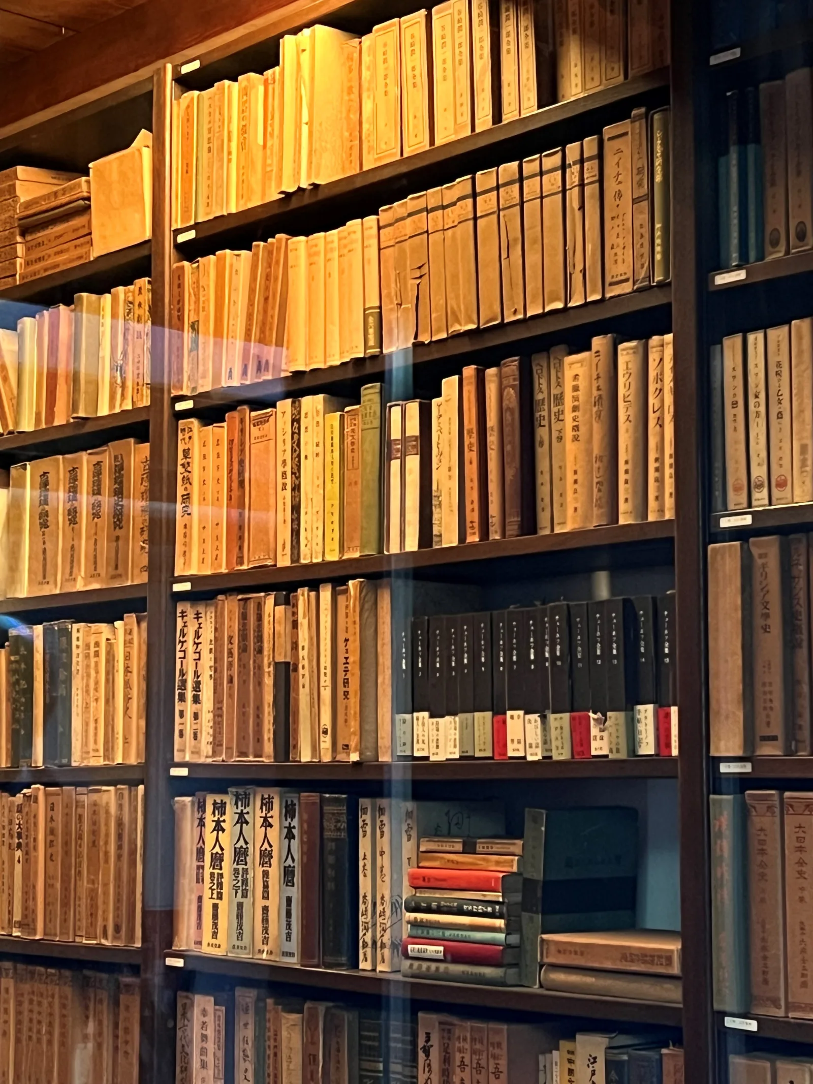 Collection of books of Edogawa Rampo Memorial Center for Popular Culture Studies (former Edogawa Rampo Residence in Tokyo, Japan).