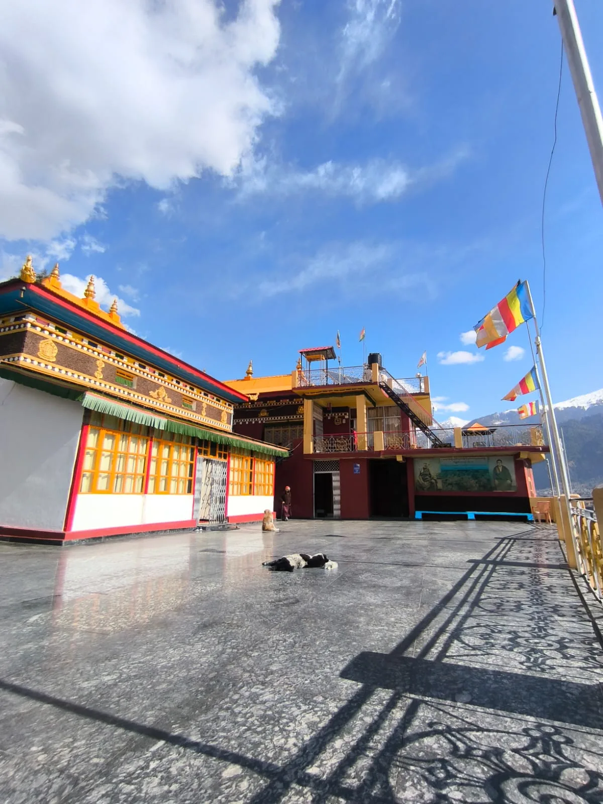 This photograph was taken near Pangan Monastery, close to 16 Mile on Patlikuhal Road, Manali, Himachal Pradesh. Surrounded by the serene Himalayan landscape, the area reflects a deep sense of peace and spiritual calm. The quiet surroundings, prayerful atmosphere, and natural beauty together create a space where faith and nature blend seamlessly, offering a moment of reflection away from the rush of everyday life