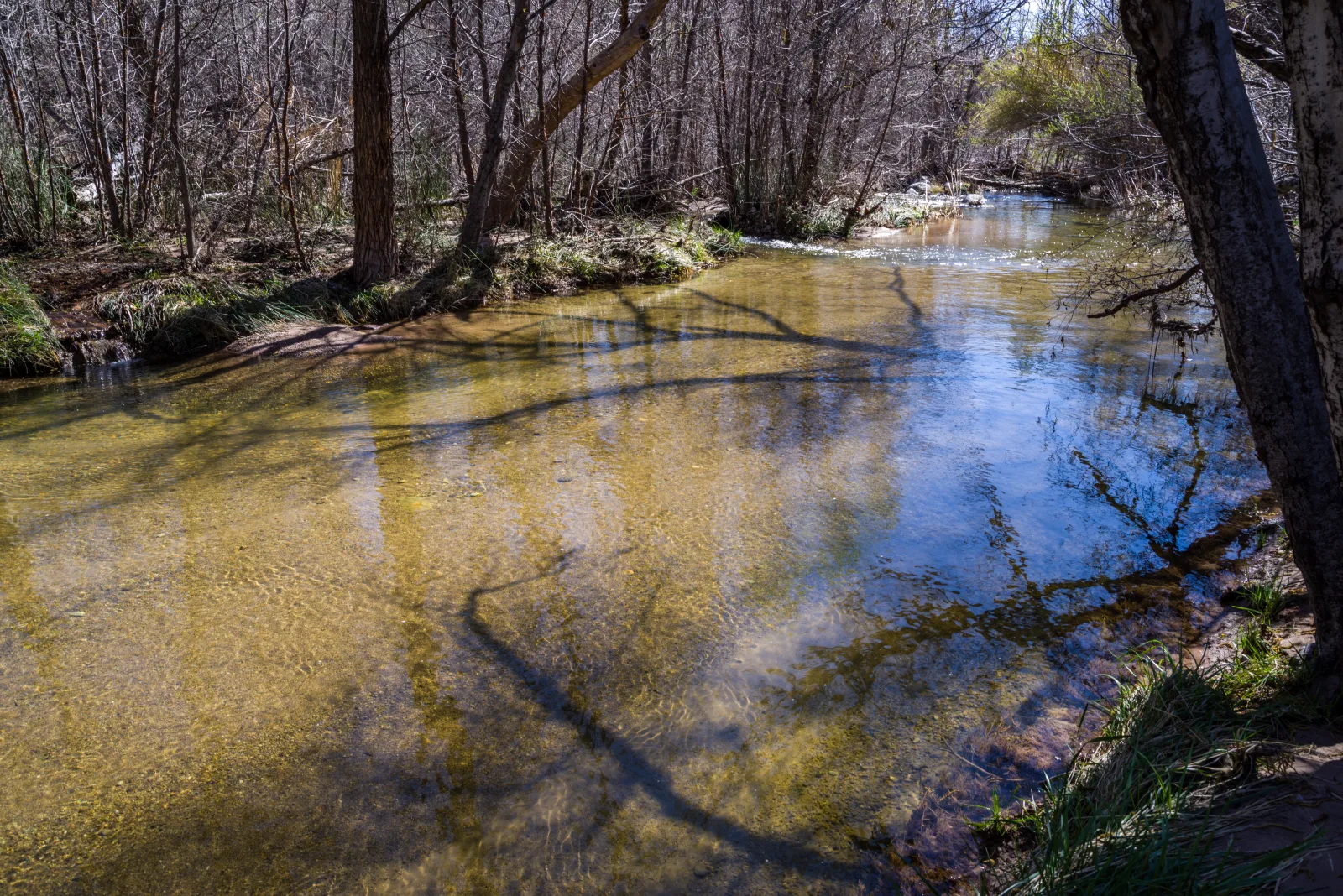 The Purple Mountain site at Fossil Creek Wild and Scenic River offers a short walk to the creek. Dense trees provide plentiful shade with many grassy picnic spots. There are several shallow pools with gravel bottoms and easy entry points. It's a beautiful, relaxing area perfect for kicking back in a hammock to read a book, take a siesta, or simply enjoy nature. With long banks to explore, it's easy to find your own little slice of heaven. Look for bits of history from the days when the Childs-Irving Hydroelectric Facilities provided power to nearby communities. The facilities were decommissioned and removed between 2005 and 2008, but many structures and foundations remain.
The Purple Mountain area was originally a work camp in 1908 for workers who constructed the nearby hydroelectric power plant facilities. 
This photo was taken in early spring, just as trees were starting to bud. As the weather warms, the riparian area along Fossil Creek Wild and Scenic River becomes lush with thick greenery. Photo taken by Deborah Lee Soltesz, February 2017. Credit USFS Coconino National Forest.

Learn more about visiting <a href="https://www.fs.usda.gov/recarea/coconino/recarea/?recid=75356" rel="nofollow">Fossil Creek Wild and Scenic River</a> managed by the <a href="https://www.fs.usda.gov/coconino/" rel="nofollow">Coconino National Forest</a>.