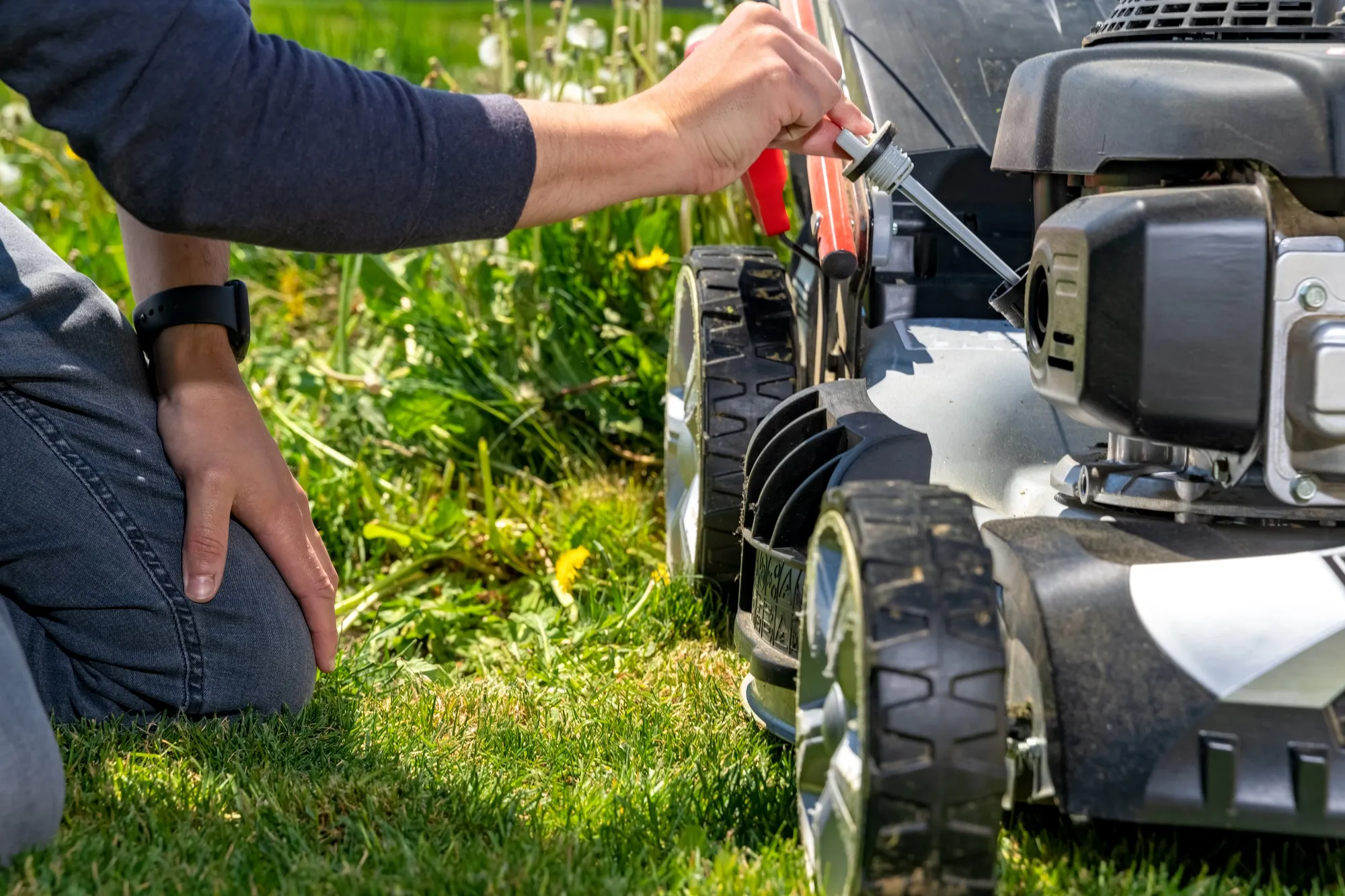 change and check the oil in the motor lawn mower