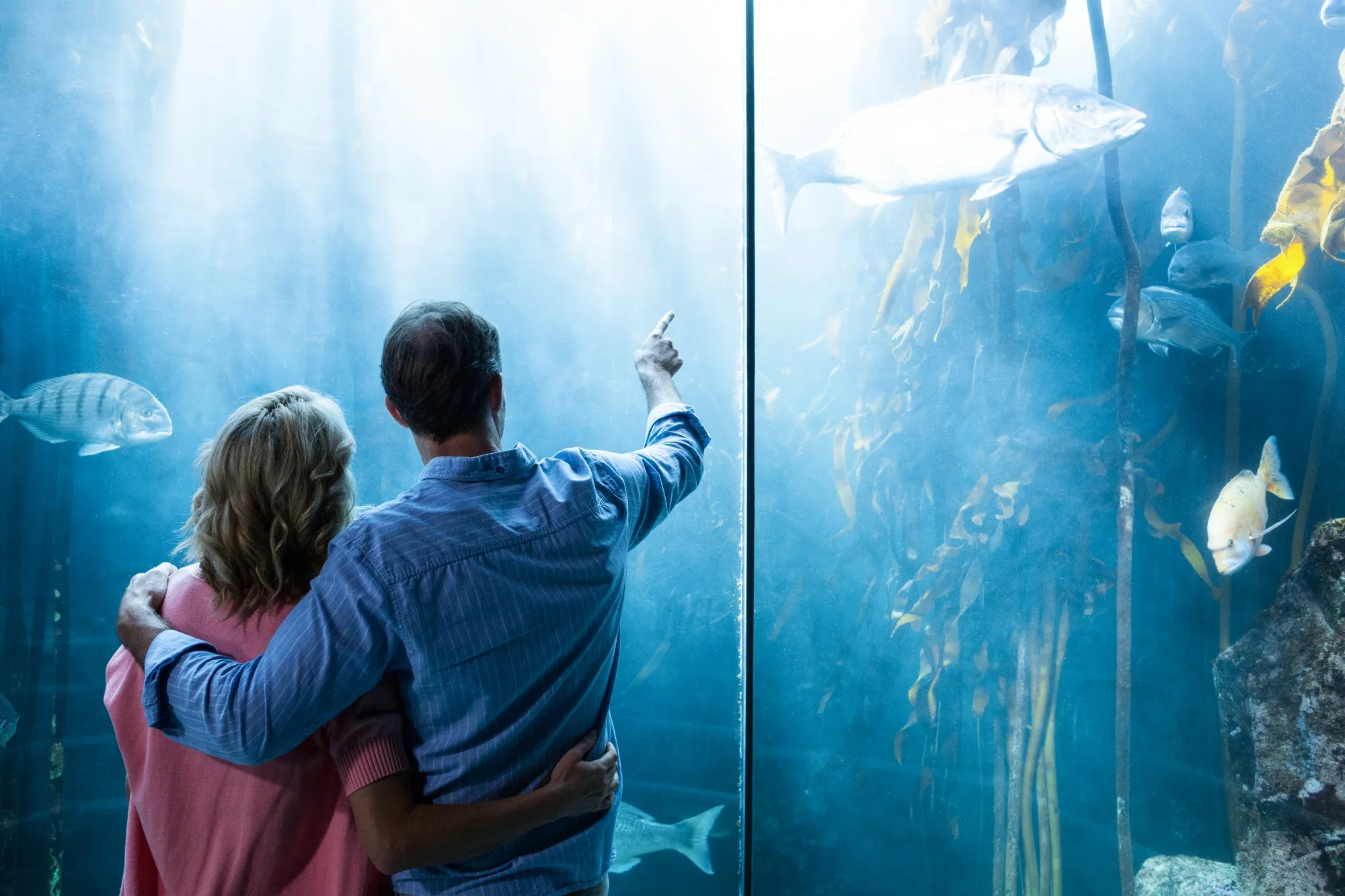 Couple looking at fish in tank