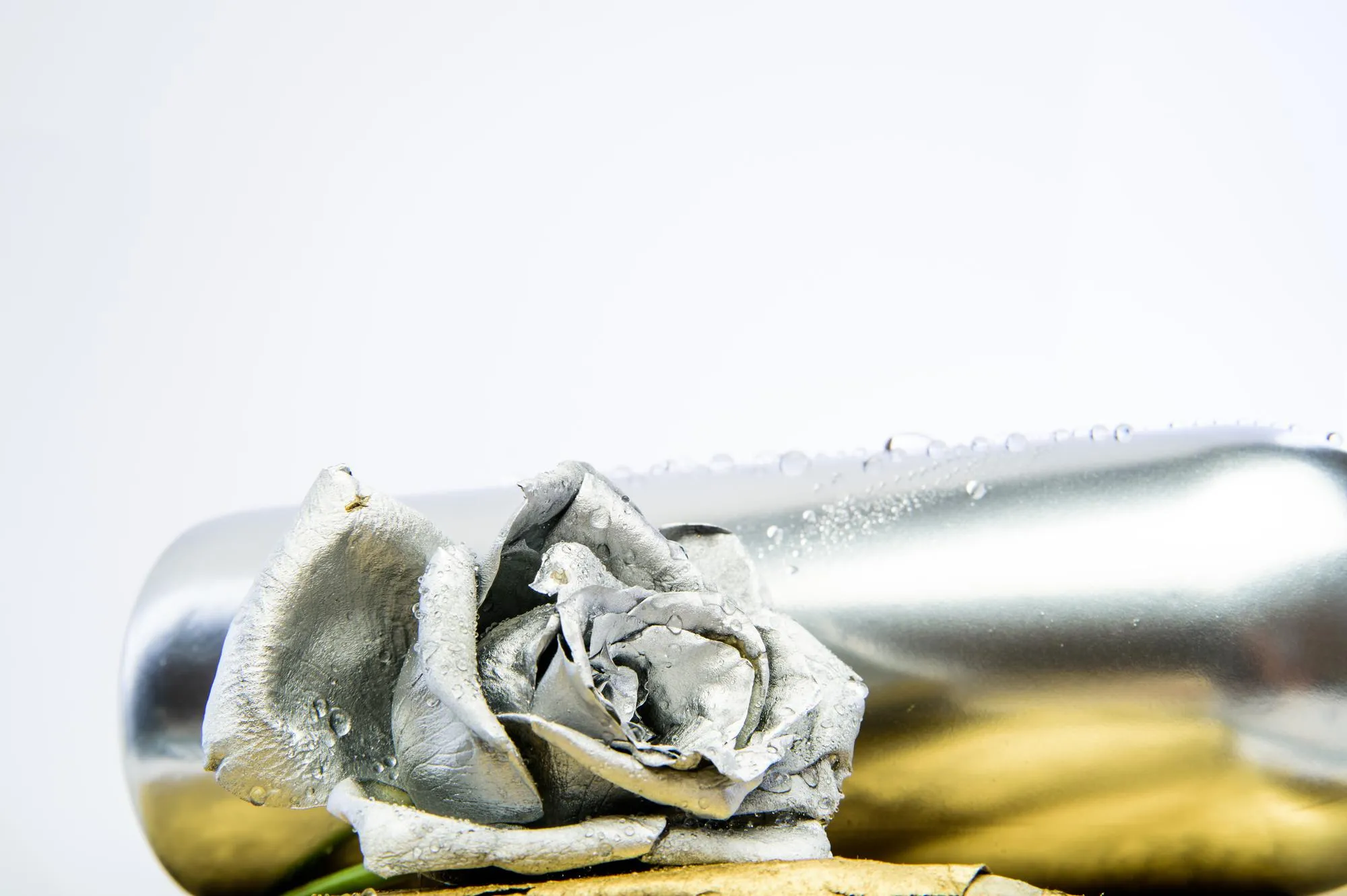 Floristics business Vintage retro luxury and success metallized antique decor wealth and richness grunge beauty silver rose flower in bottle copy space flower shop decor