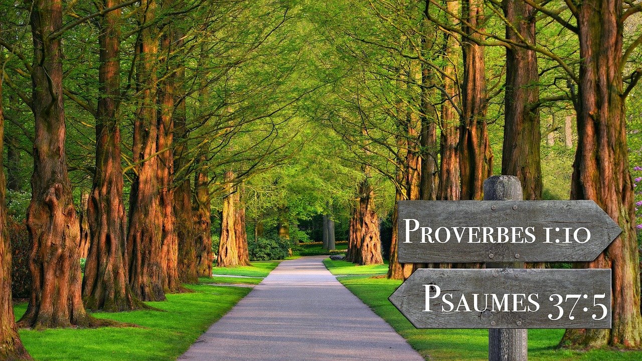 quote, bible, book, god, scriptures, reading, passage, biblical, quote, quote, bible, bible, bible, biblical, biblical, biblical, biblical, biblical