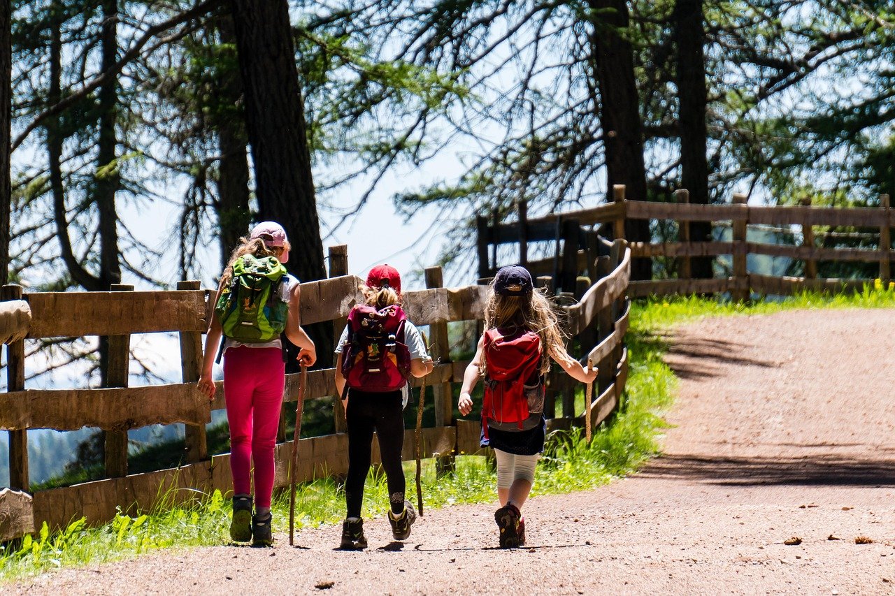 children, girl, hiking, trail, forest road, three, nature, landscape, path, forest, away, woman, person, wanderer, tourism, vacations, sunny, sunny day, mountain hiking, hiking, hiking, hiking, hiking, hiking, sunny day