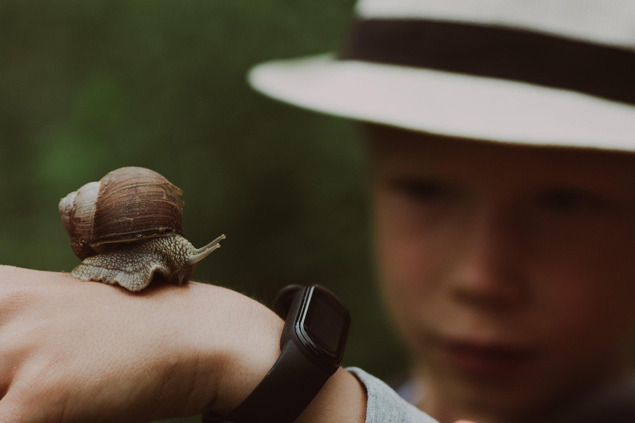 snail, boy, hand, snail, snail, snail, snail, snail