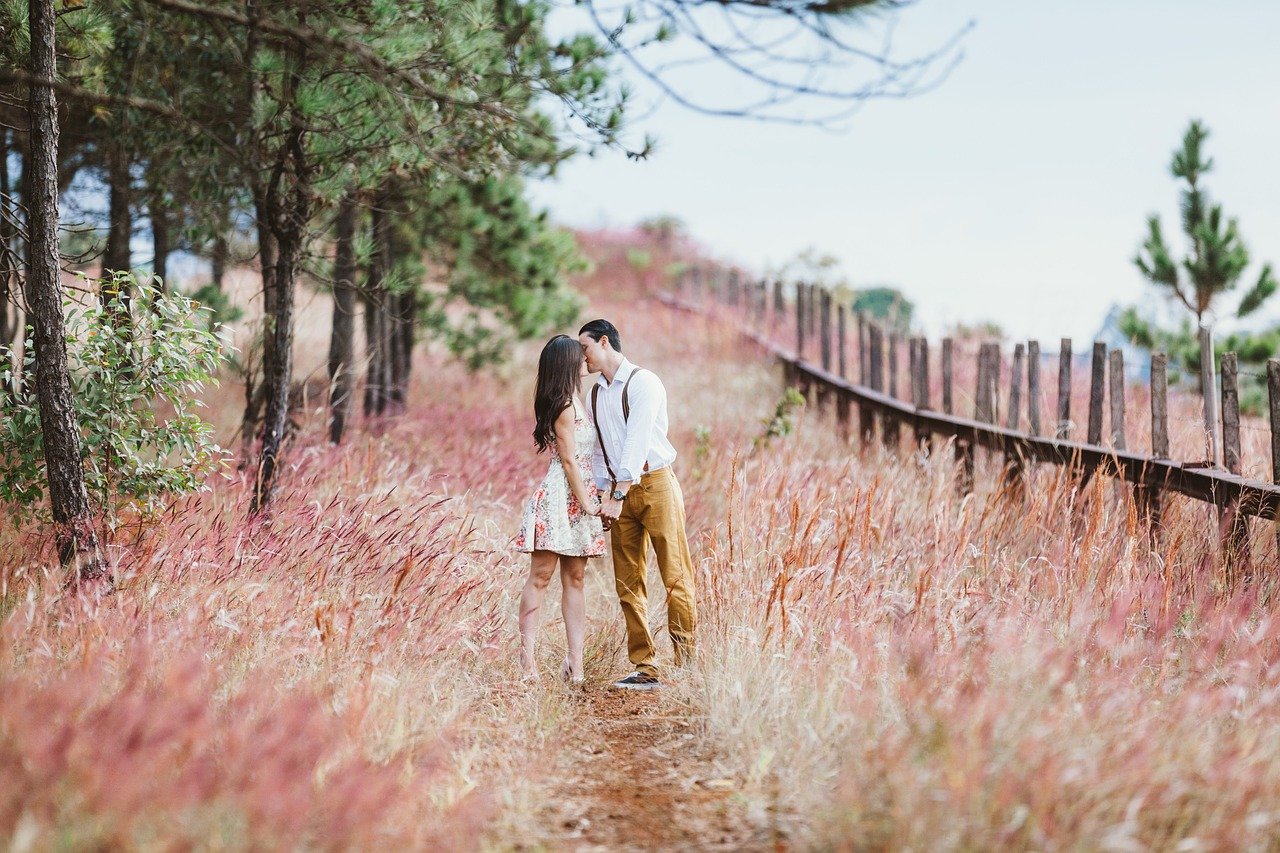 couple, kiss, field, meadow, kissing, holding hands, lovers, affection, affectionate, happy couple, couple kissing, marriage, love, vintage, man, woman, nature, outdoors, rural, countryside, couple, couple, couple, couple, couple, kiss, lovers, lovers, love