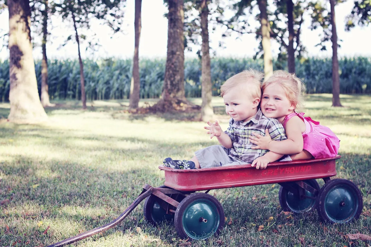 youth, children, wagon, child, childhood, people, kid, group, friends, friendship, happy, caring, little, boy, girl, kids, together, outside, children, children, children, children, children, wagon, friends, kids, kids, kids
