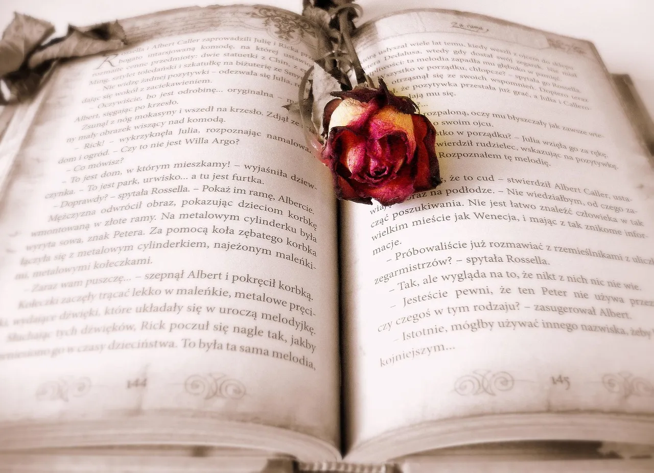 book, rose, book mark, open book, pages, chapter, rose flower, novel, read, literature, reading, bookworm