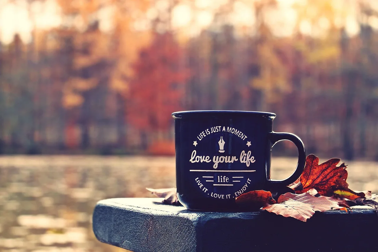 spadek, las, puchar, waldsee, ława, love your life, motto, odchodzi, jesienne liście, cichy, złamać, wyścigi, natura, nastrój, kolory jesieni, life is just a moment, powiedzenie, wyrok szklanki, jesienny nastrój, zrelaksować się, atmosfera, sceniczny, jesienny
