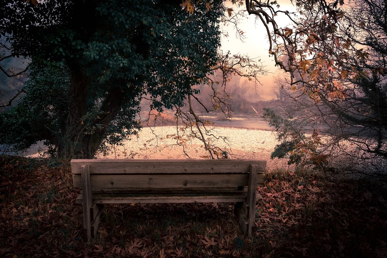 bench, lonely, rzeka, forest, wooden, beautiful, krajobraz, siedziba, zimą, przeziębienie, cisza, woda, pogląd, samotność, nastrój, irene, zachód słońca, fog, wschód, spokój, lekki, natura, forest, forest, forest, forest, forest