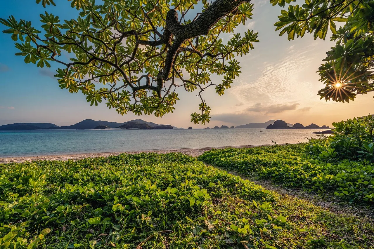 sunset, sand, beach, islands, leaf, beautiful nature, nature background, subtropical, nature, okinawa, japan, landscape, hd wallpapers, hd wallpaper, nature wallpaper