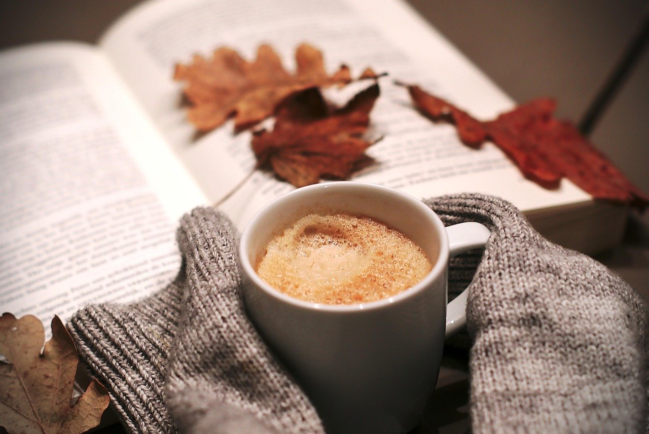 drink, coffee, food, leaves, coffee cup, autumn, book, nature, sweater, mug, relaxation, cozy