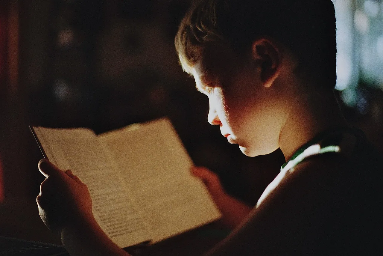 chłopiec, książka, czytanie, literatura, czytać, edukacja, nauka, uczenie się, wiedza, skupiać, student, dziecko, młody, książka, książka, książka, książka, książka, czytanie, czytanie, czytanie, czytanie, edukacja, nauka, nauka, nauka, wiedza, wiedza