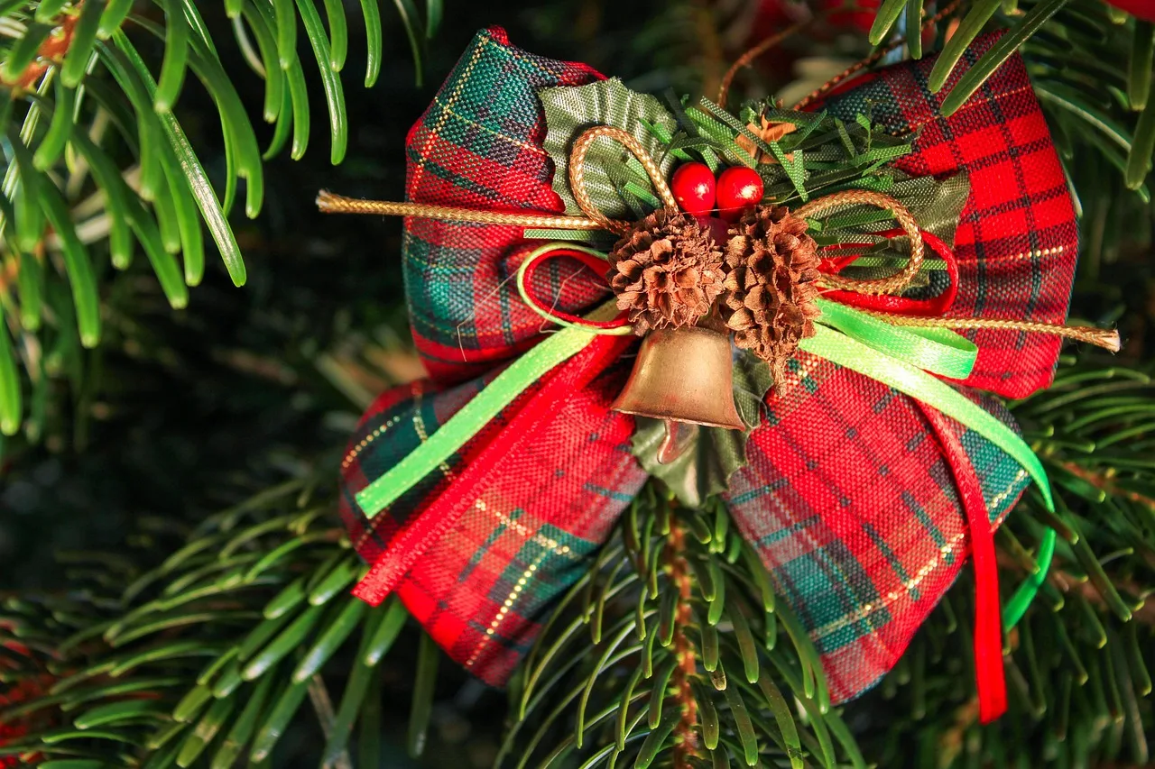 christmas pictures, christmas, pine tree, christmas ornament, tree decorations, zielony, christmas decorations, christmas decoration, advent, greeting card, christmas motif, dekoracja, christmas time, christmas, christmas, christmas time, christmas time, christmas time, christmas time, christmas time