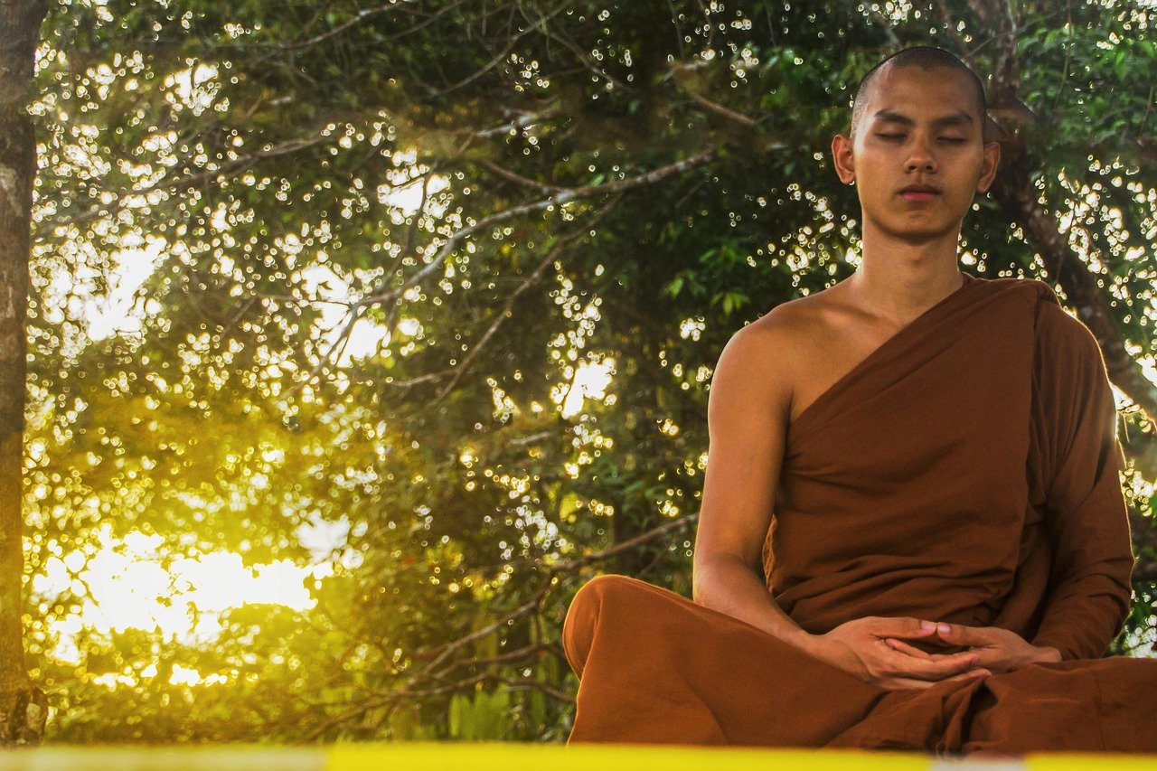 meditate, theravada buddhism, monk, meditating monk, buddhism, meditation, religious, traditional, religion, nature, sunset, dusk, monk in forest