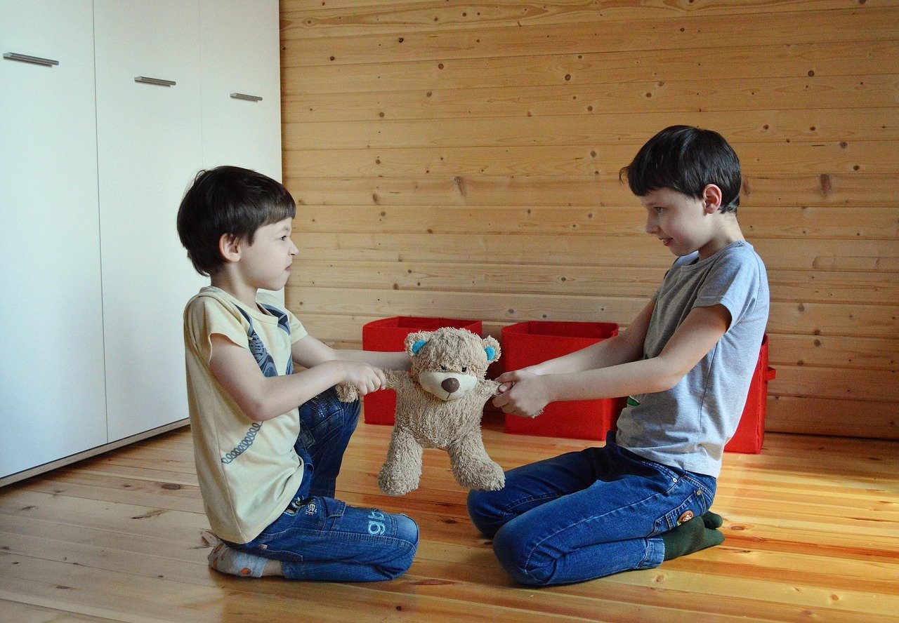 do not share a toy, an argument over toys, argument, toy, do not share, kids, family, teddy bear, baby, together, fight, i bet, share, argument, argument, argument, argument, argument, share, share