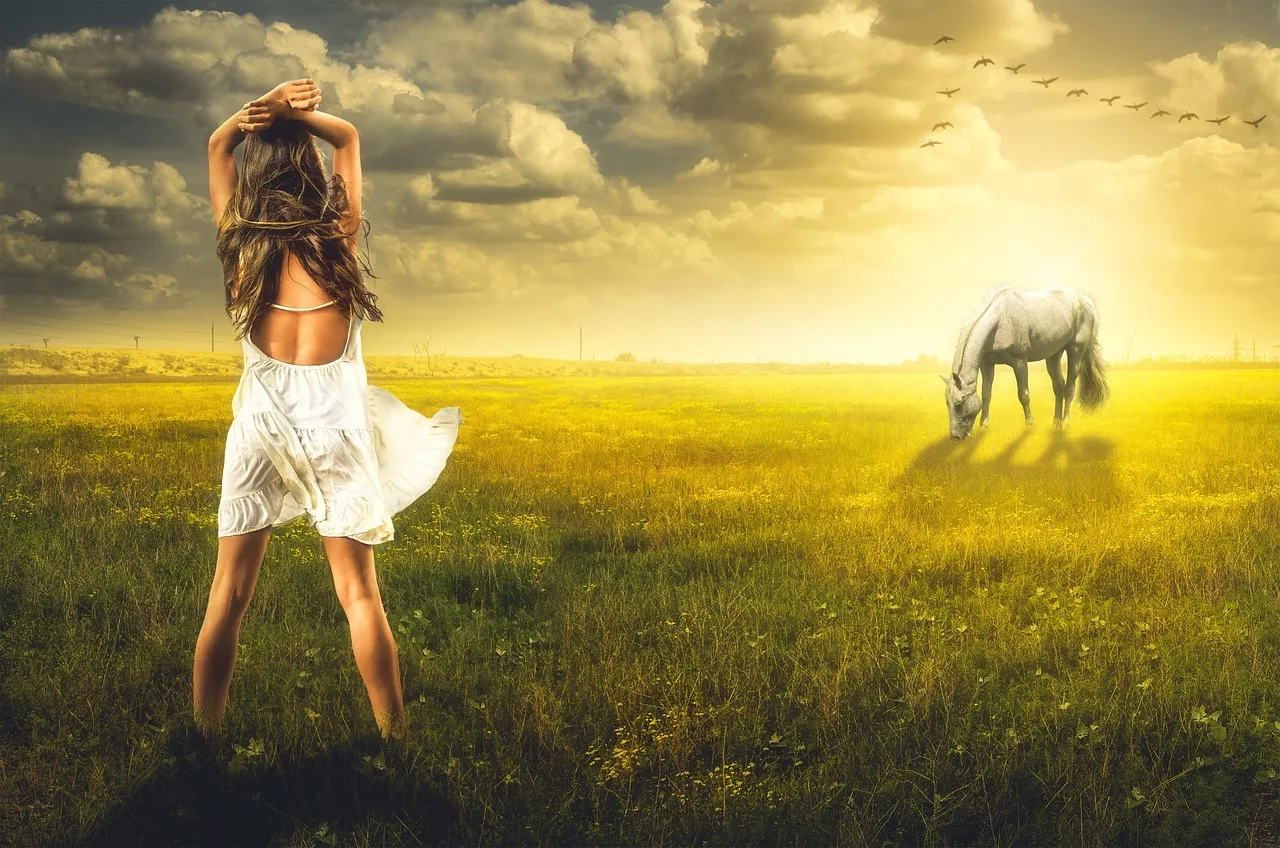 dziewczynka, koń, pole, trawa, zachód słońca, natura, sun, vegetation, summer, wieczór, ciepłe, dream, illusion, figment, philosophy, psychologia, wisdom, fiction, tranquility, contemplation, fantazja, improbably