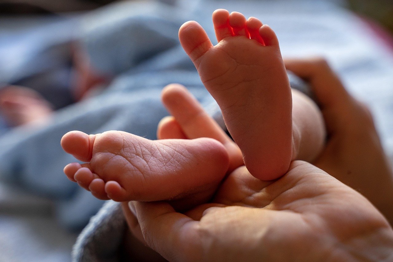 baby, newborn, baby feet, feet, small, barefoot, sweet, baby photography, children's feet, close up, infant, child, family, baby, baby, baby, baby feet, feet, family, family, family, family, family