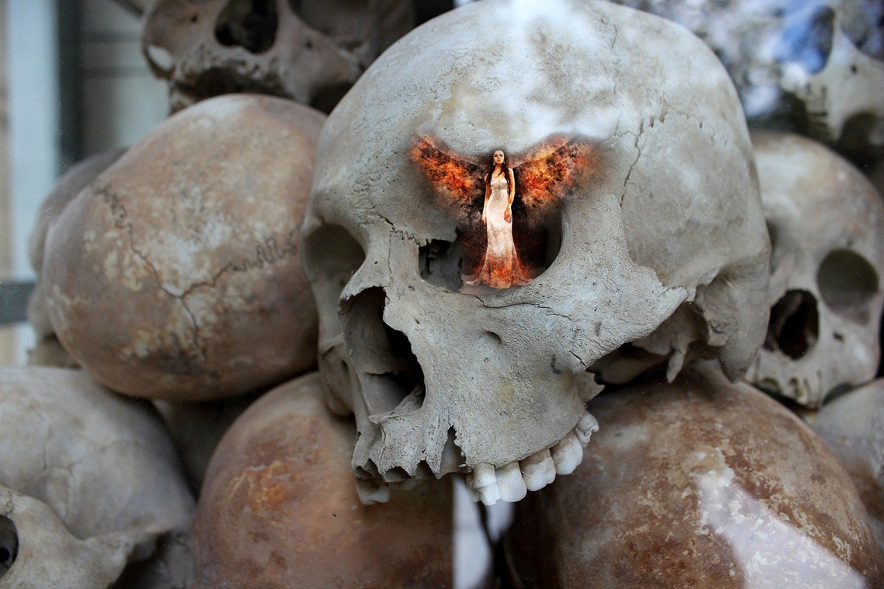 angel, eye, skull, fire, wing, girl, expression, emotion, bones, halloween