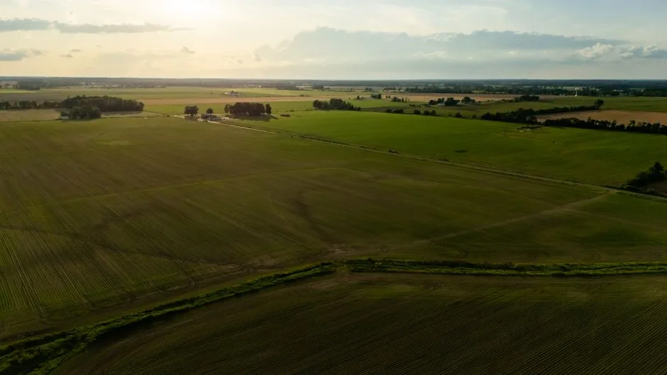 Aerial view of vast crop fields at sunset, showcasing serene farmland and agricultural landscape.
