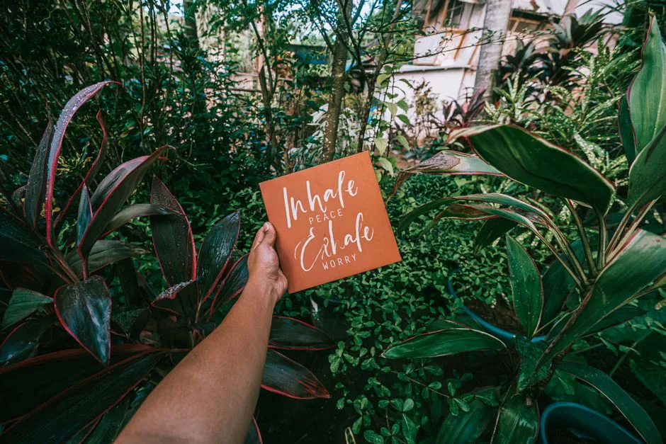 A person holds a sign with an inspirational quote in a vibrant green garden.