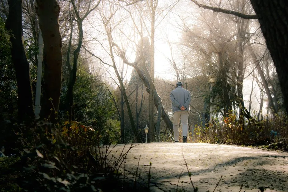 A person strolling alone on a sunlit forest path, embracing tranquility and nature.