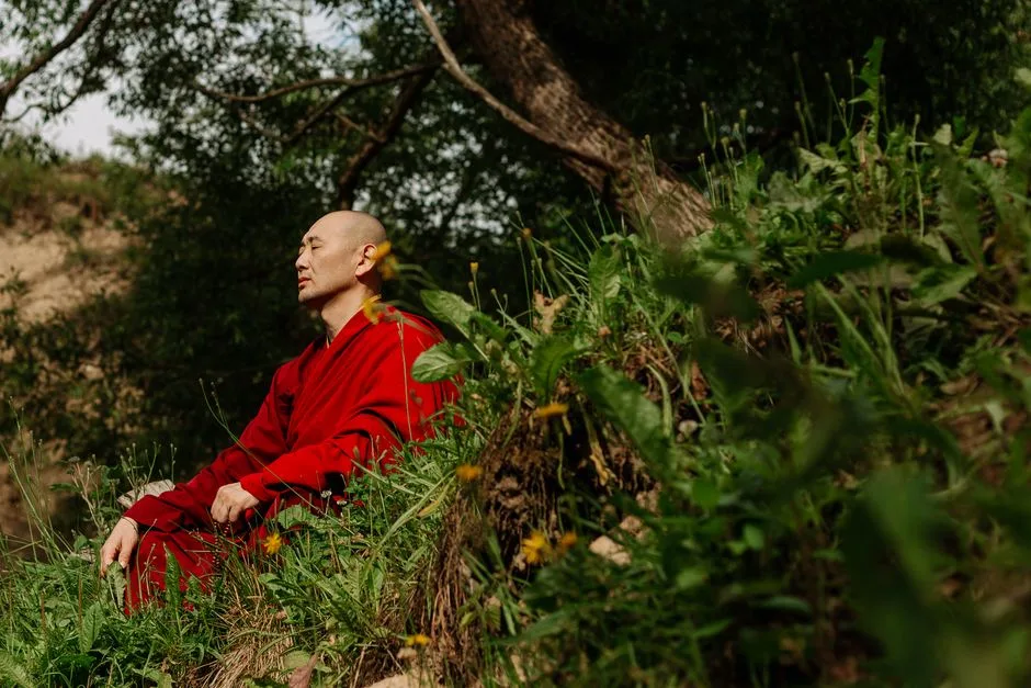 Serene scene of a monk meditating outdoors among lush greenery.