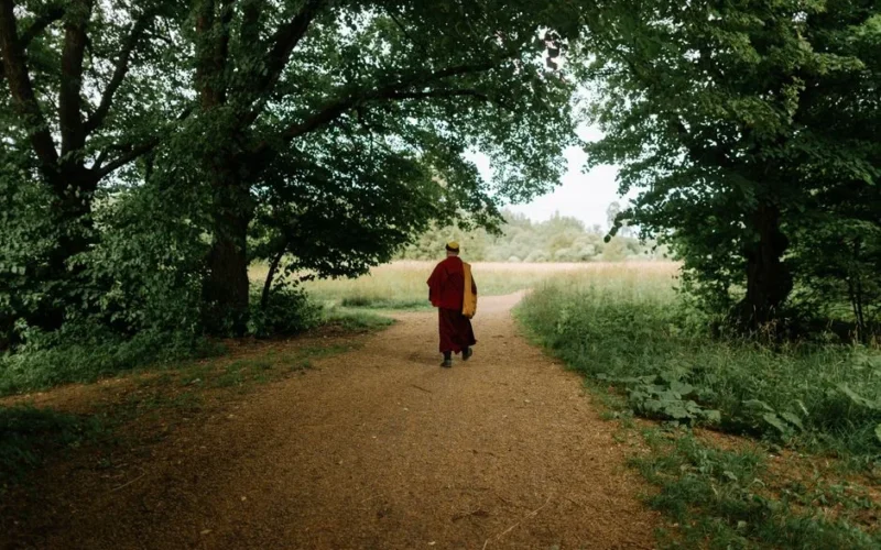 A serene forest path with a solitary monk walking under lush green trees, evoking peace and contemplation.