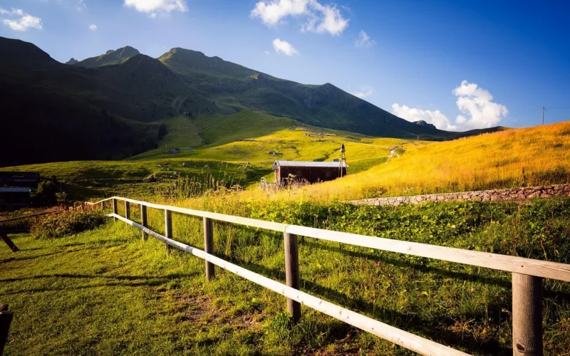 góra, pole, trawa, natura, hill, krajobraz, ogrodzenia, grassland, niebo, outdoors, alpy, drzewo, zakład, gospodarstwa, agriculture, road, pasture, valley, górskie formy terenu, na wolnym powietrzu, żółty, overlooking, nie ma person, highland