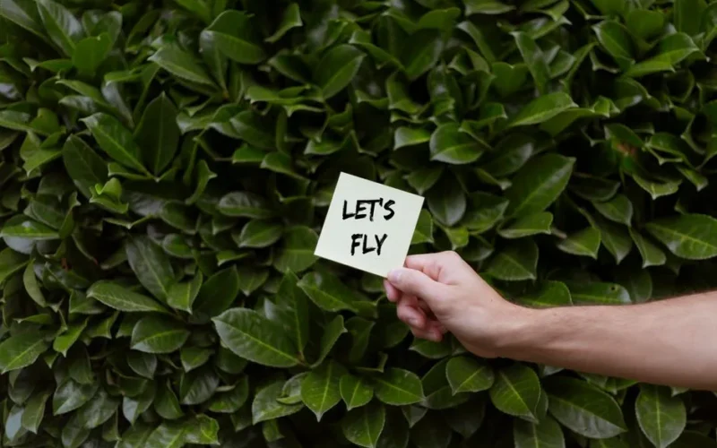 A hand holding a note reading 'Let's Fly' against a vibrant green background.