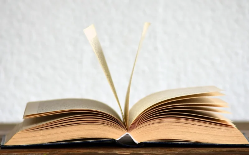 książka, czytać, uczyć się, tekst, literatura, strony książki, pismo, papier, strona, zwój, martwa natura, wiedzieć, strony, rozbił, open book, przeglądaj, powieść, drukowane, szkolenie, open book, open book, open book, open book, open book