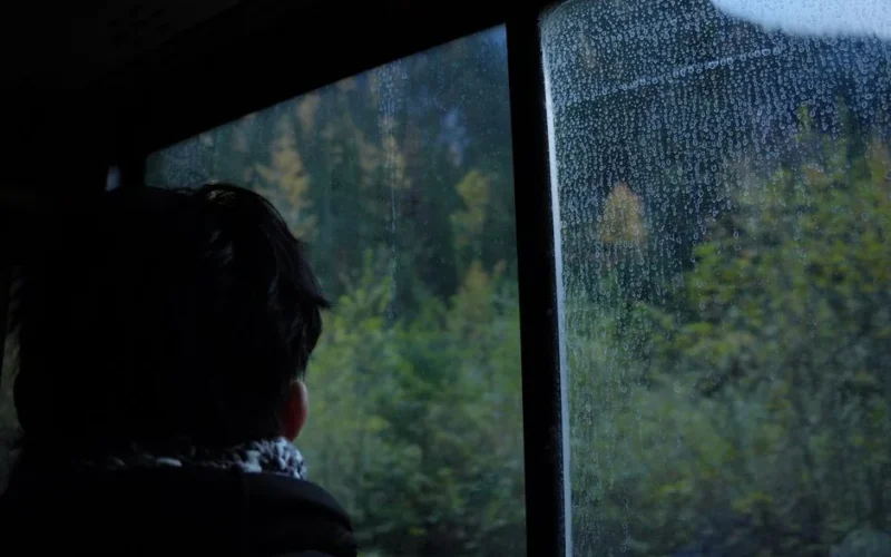 A person looks out a rainy window at a forest landscape, evoking solitude and contemplation.