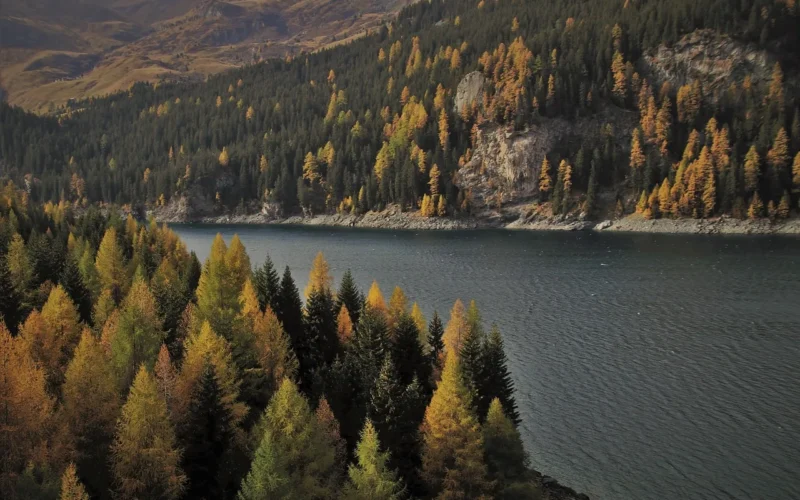 zmierzch, jezioro, alpejskie, góry, tafla wody, las, alp, nastrój, panorama, zobacz, popołudnie, krajobraz, sceneria, daleki widok, spokojny, spokój, wyżyny, wschód, rano, poranek, wieczorem, skalisty brzeg, cisza, wellness, natura, harmonia