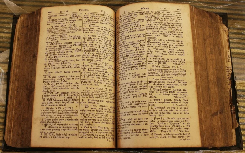 książka, literatura, święty, strona, religia, duchowość, zabytkowe, biblioteka, stary, pismo, księga, czcionka, stara książka, gotyckie, stara księga, biblia, stara, gotyk, wiara, starodruk, stare pismo, katolicka, książki, stare, pismo gotyckie, język polski, stary testament, psalm, psalmy, czytać, ksiązka, kultura, wiedza, język polski, język polski, język polski, język polski, język polski