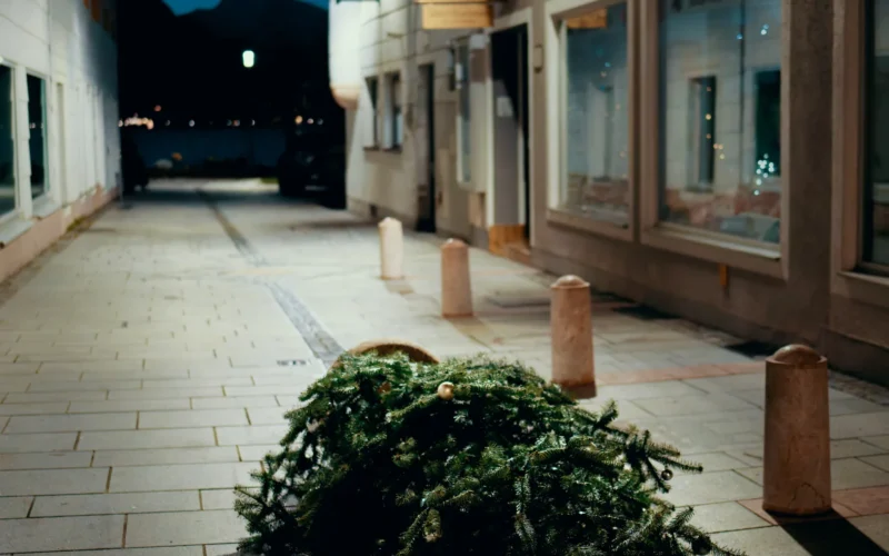 Farewell Christmas — May your spirit be carried over into the next year.
