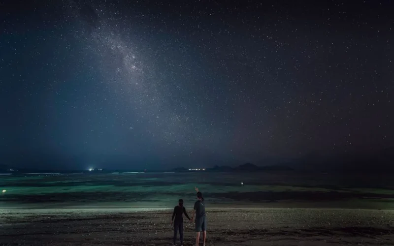 Romantic couple holding hands while observing stars on a beach at night, showcasing love and serenity.