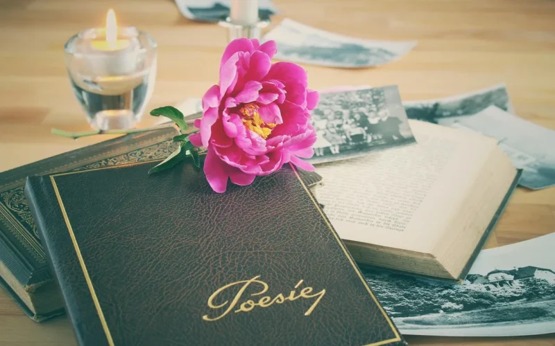 album poezji, książka, skórzany, tapeta kwiatowa, stary, nostalgia, vintage, book stos, natura, książki, wspomnienia, krótkotrwałość, klasa szkolna, świeca, martwa natura, piękne kwiaty, kwiat tło, piwonia, kwiat, dawniej, napisać, w tym czasie, piwonie