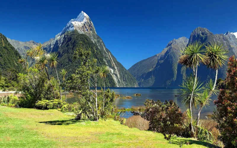 nowa zelandia, milford sound, mitre peak, fiord, południowa wyspa, fiordland national park, fiordland, park narodowy, krajobraz, podróż, wakacje, egzotyczny, jezioro, natura, lato, słońce, woda, odbicie, brzeg rzeki, niebieskie niebo, mitra, szczyt, alpy, vacation, travel photography, exploring, wonderful places, góry, nowa zelandia, nowa zelandia, nowa zelandia, nowa zelandia, nowa zelandia