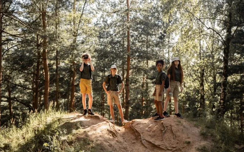 Group of children hiking in a sunlit forest, enjoying nature and exploration.
