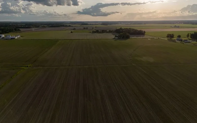 Aerial view of a sprawling green crop field at sunrise, showcasing long rows of crops under a clear sky.